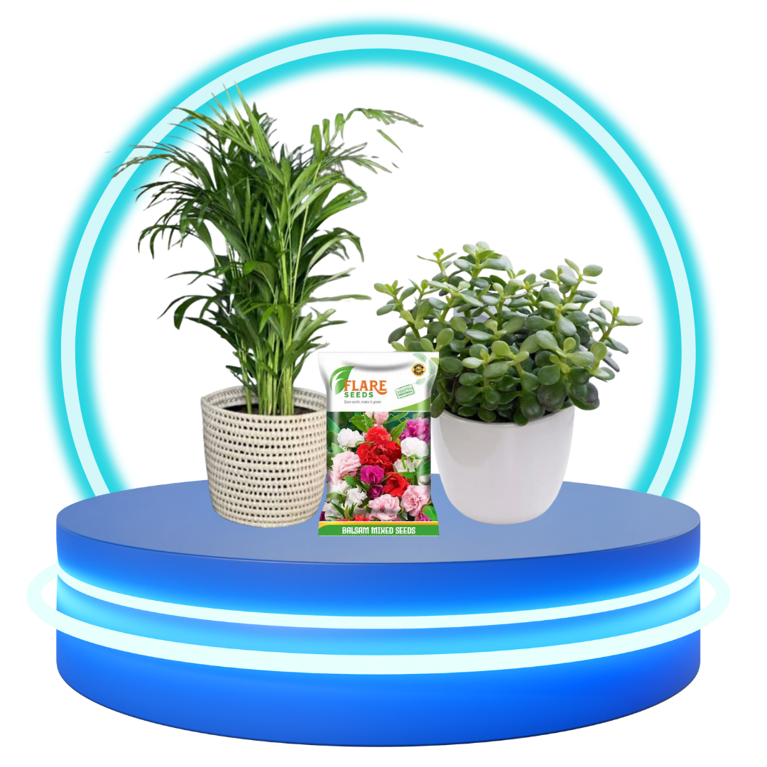 Plants & Seeds