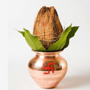 WORSHIP SPECIAL-Pooja Nariyal,Rich Watery Worship Coconut,Whole Shri Phal,Used For Pooja Ganpati-Navratri-Diwali-Holi Special Ocassions